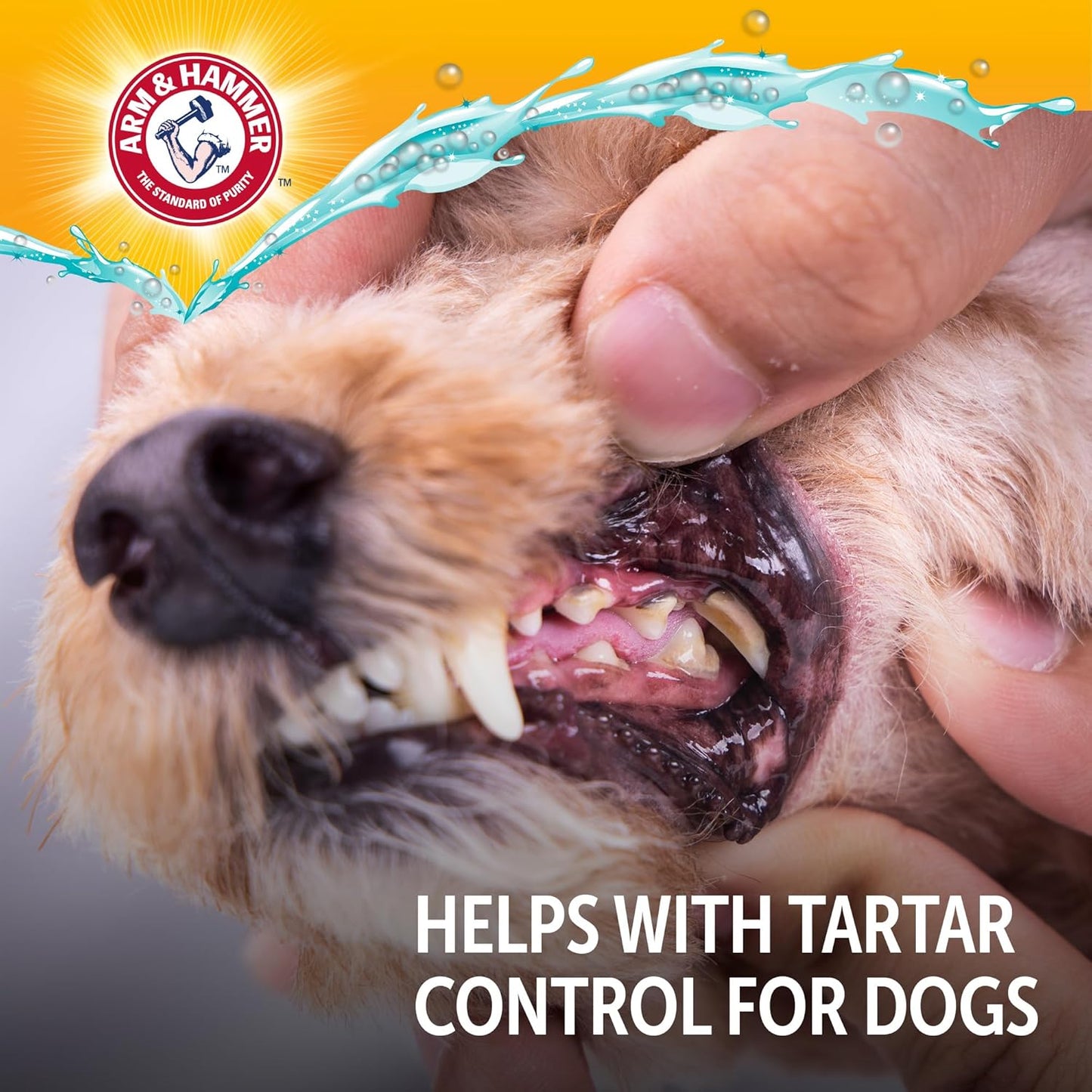 Complete Care Dog Dental Water Additive, Odorless Flavorless Daily Oral Care Solution with Baking Soda and Calcium for Plaque, Tartar, and Fresh Breath, 16 Fl Oz
