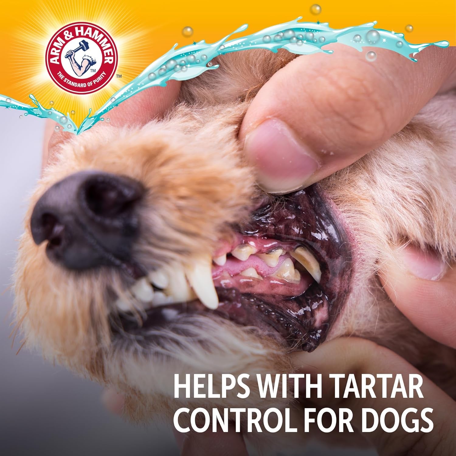 Complete Care Dog Dental Water Additive, Odorless Flavorless Daily Oral Care Solution with Baking Soda and Calcium for Plaque, Tartar, and Fresh Breath, 16 Fl Oz