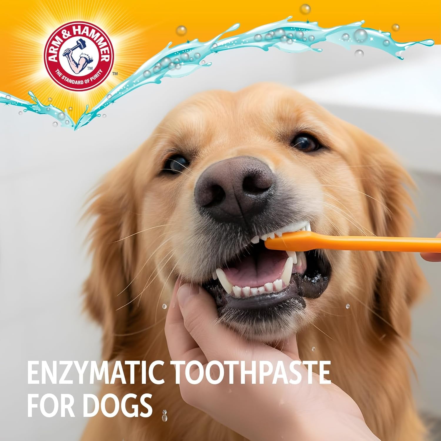Complete Care Dog Dental Kit Enzymatic Toothpaste 2.5 OZ Chicken Flavor Toothbrush Finger Brush Tartar Baking Soda Formula