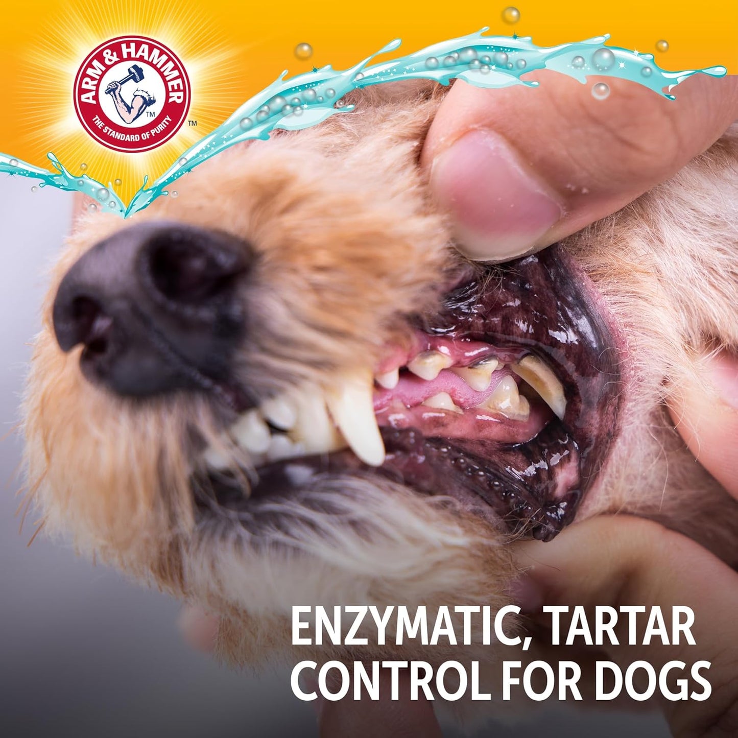 Complete Care Dog Dental Kit Enzymatic Toothpaste 2.5 OZ Chicken Flavor Toothbrush Finger Brush Tartar Baking Soda Formula