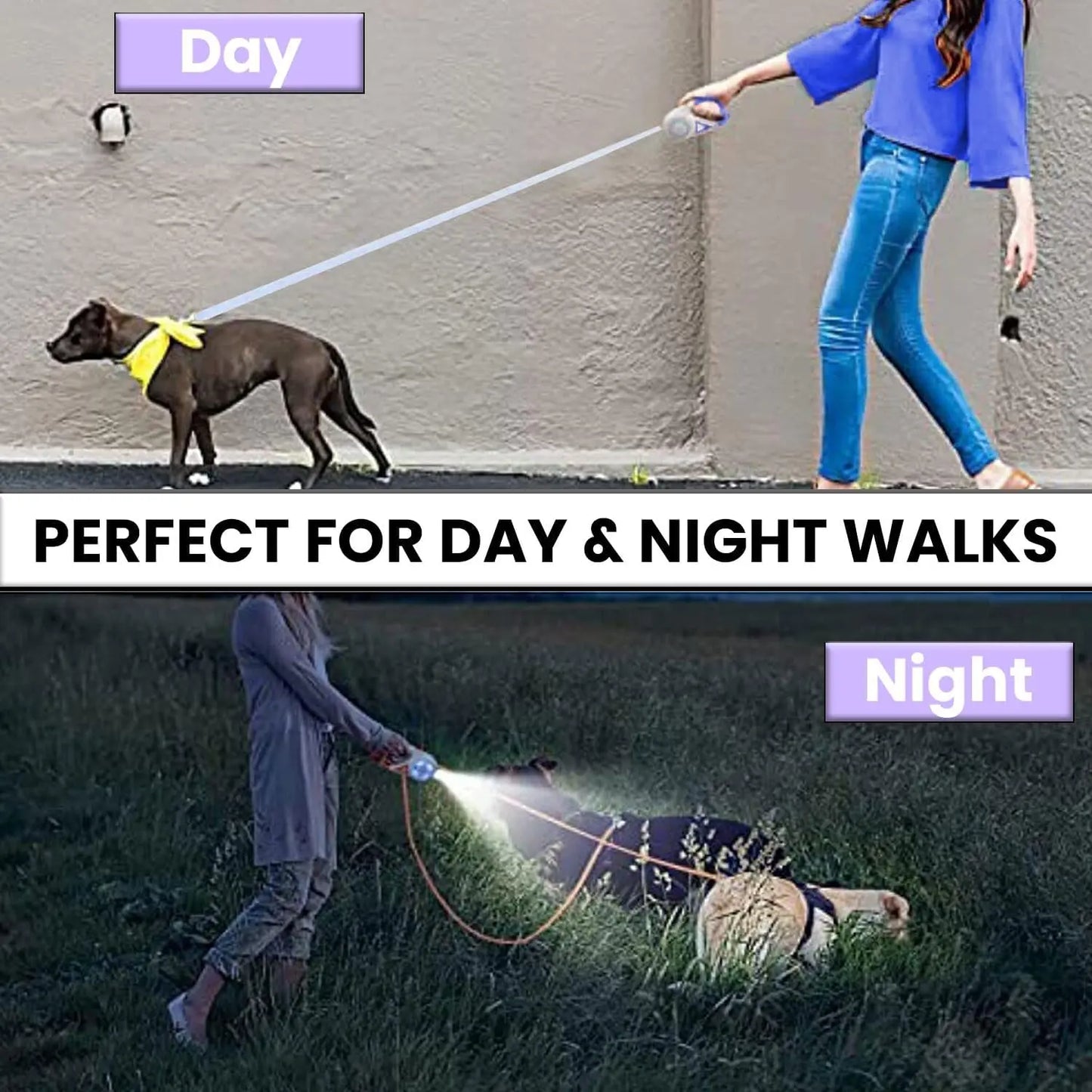 Illuminate Your Night Walks with the Pawzseek LED Retractable Dog Leash - A Must-Have for Safe Evening Strolls!