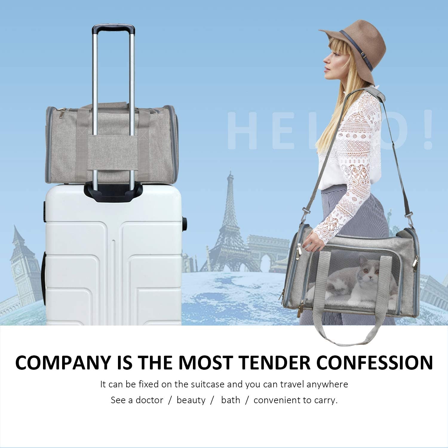 Cat Carriers Dog Carrier Pet Carrier for Small / Medium Cats Dogs Puppies (Up to 15Lbs), TSA Airline Approved Small Dog Carrier Soft Sided, Collapsible Waterproof Travel Puppy Carrier - Grey